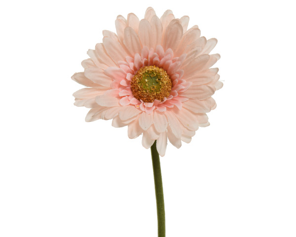 Kunstblume GERBERA