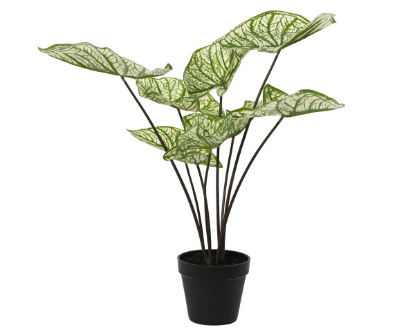 Kunstpflanze CALADIUM