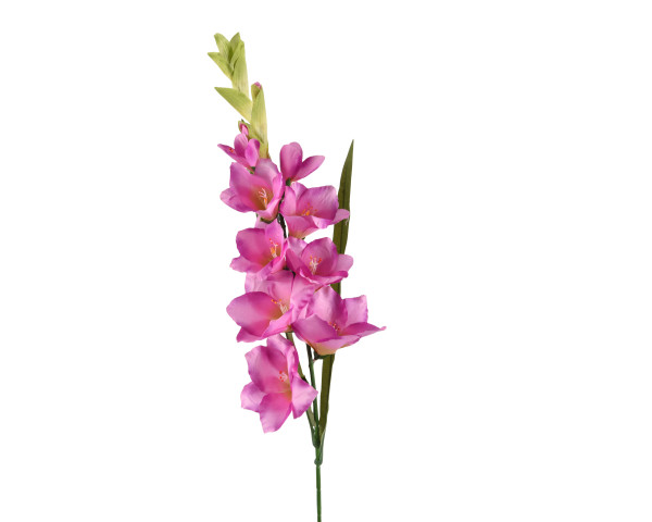 Kunstblume GLADIOLUS