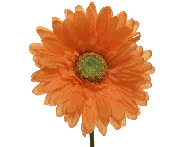 Kunstblume GERBERA