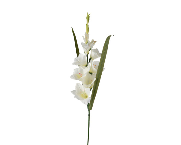 Kunstblume GLADIOLUS