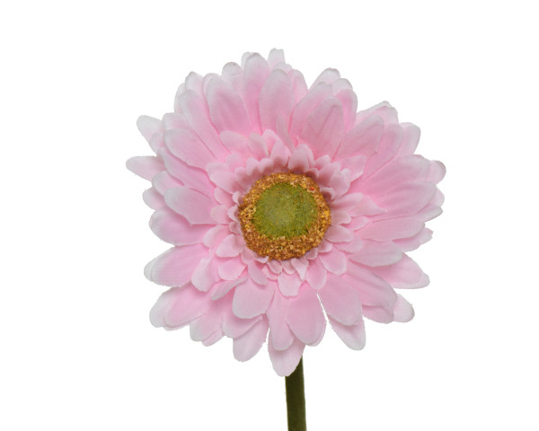 Kunstblume GERBERA